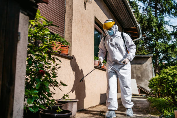 Best Insect Control  in Twinsburg, OH