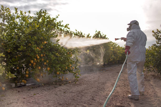Trusted Twinsburg, OH Pest Control Experts