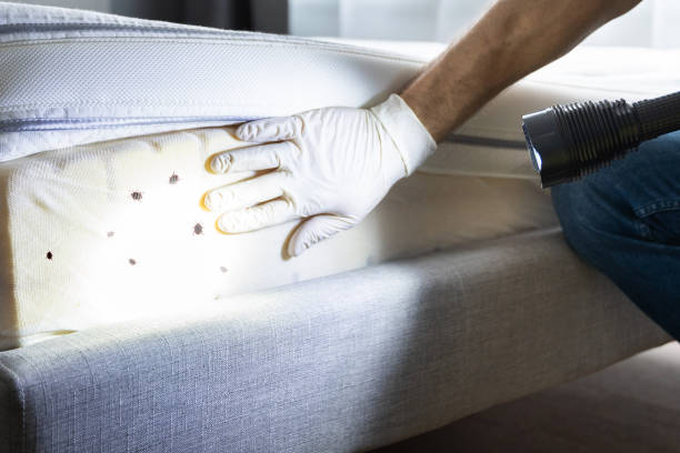 Best Bed Bug Extermination  in Twinsburg, OH