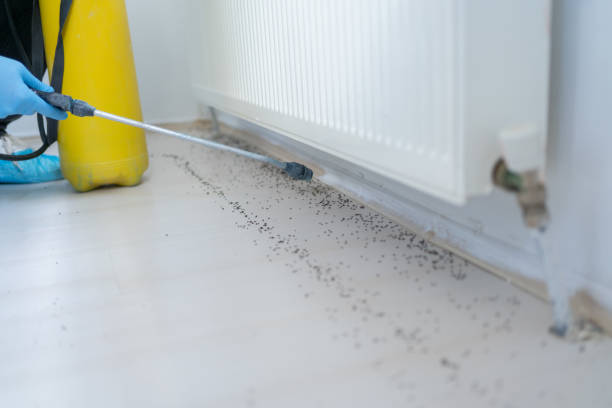 Best Best Pest Control Companies  in Twinsburg, OH