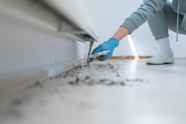 Pest Prevention Services in Twinsburg, OH